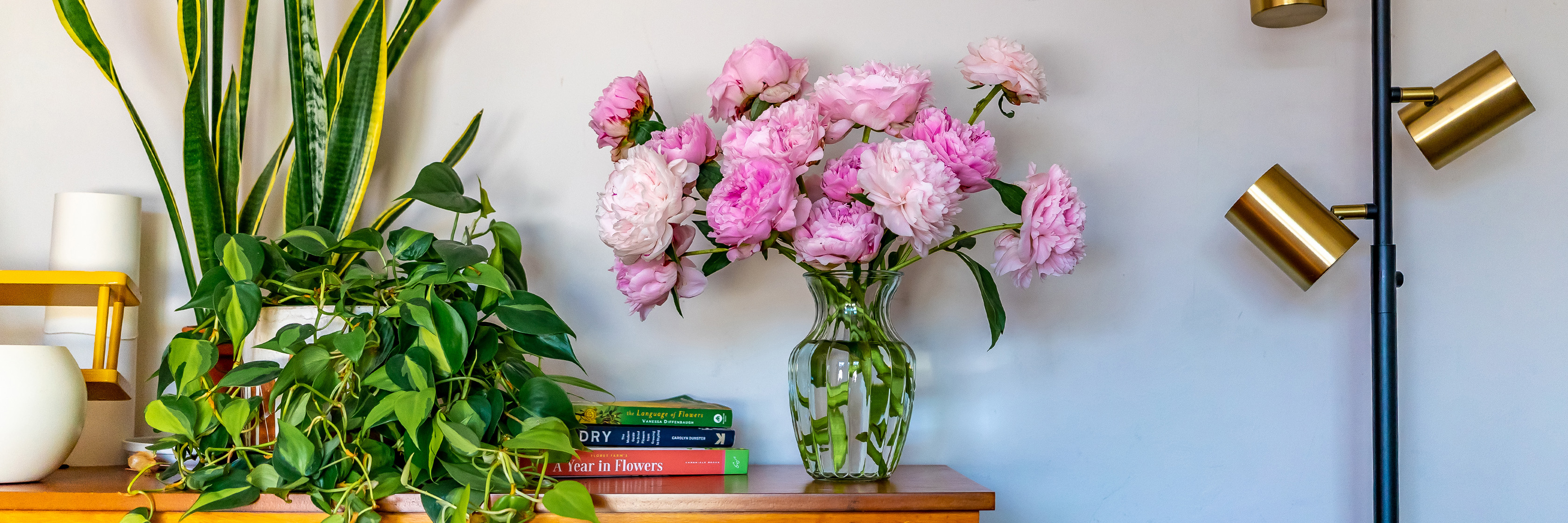 Vibrant pink peonies in a glass vase, complemented by lush green plants in a cozy setting.