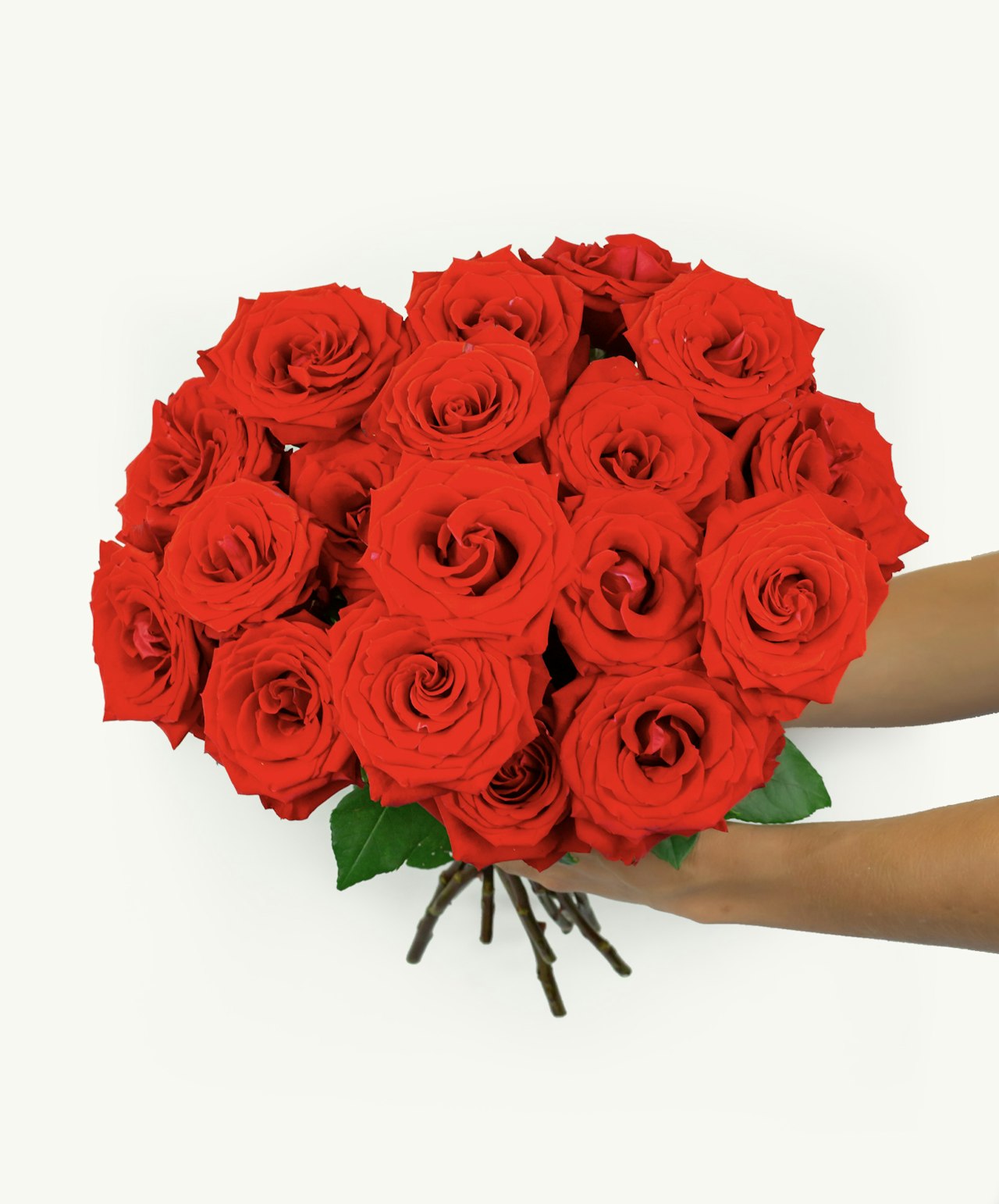 A vibrant bouquet of red roses held delicately, perfect for expressing love and celebration.