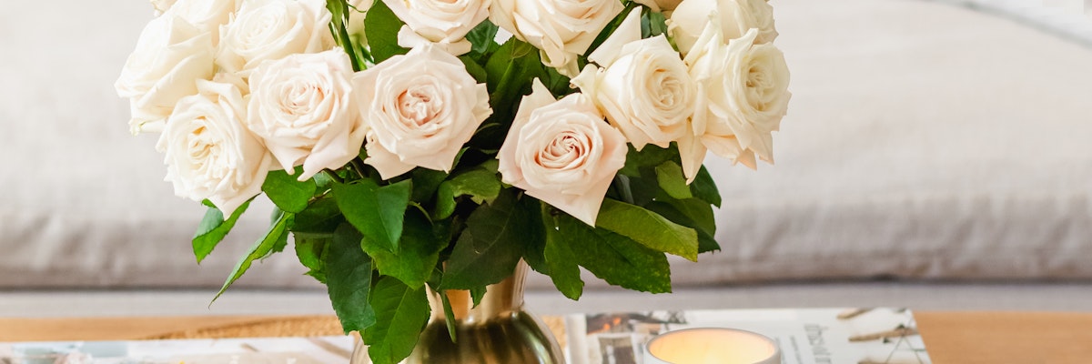 Elegant white roses arranged in a chic vase, perfect for any occasion.