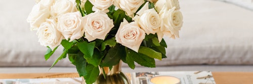 white-roses