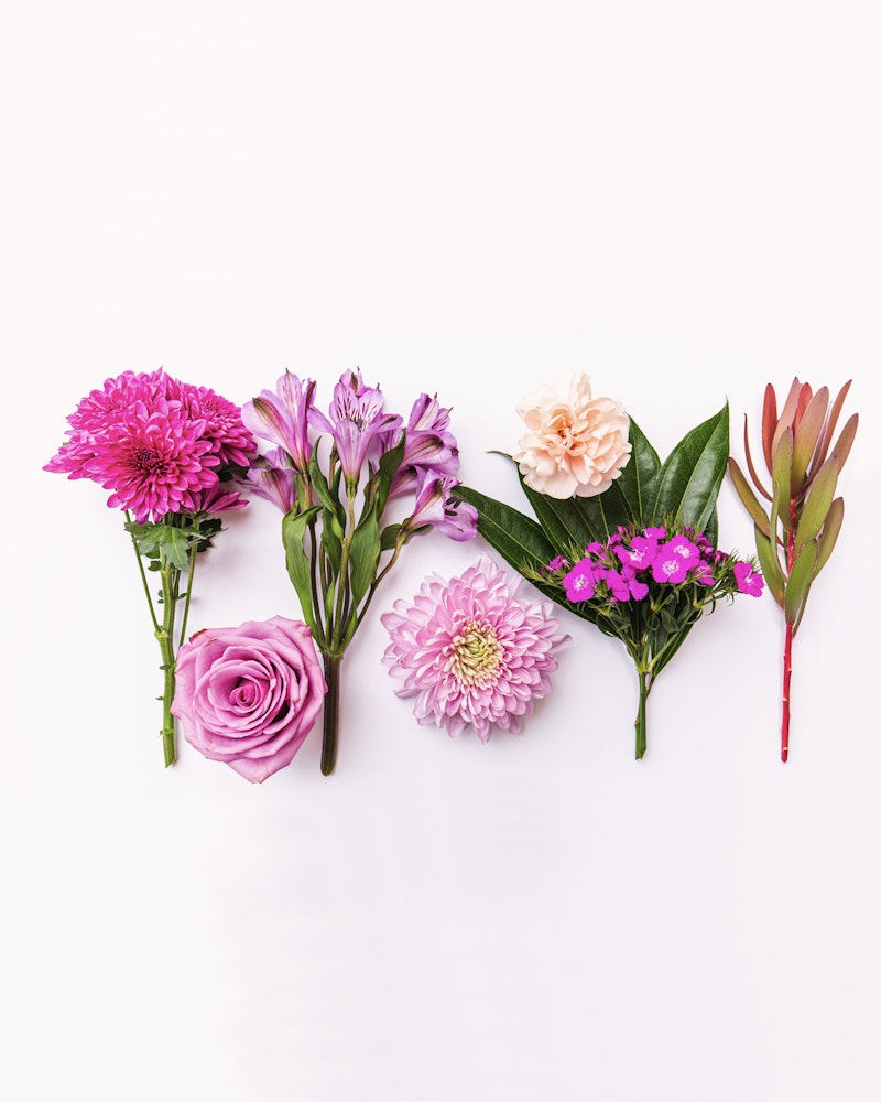 Colorful assortment of flowers including pink dahlias, purple alstroemeria, a pink rose, and greenery arranged symmetrically on a white background.
