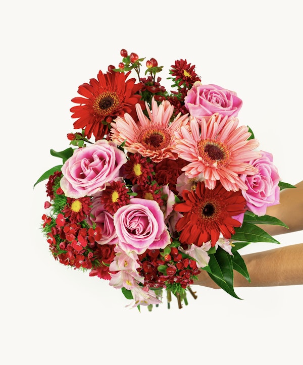 A vibrant bouquet composed of red gerberas, pink roses, and small red blossoms held against a white background, creating a beautiful display of fresh flowers.