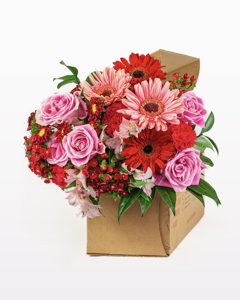 Vibrant bouquet of flowers featuring pink roses, red gerberas, and lush greenery in a brown cardboard box on a white background, perfect for gifting or decoration.