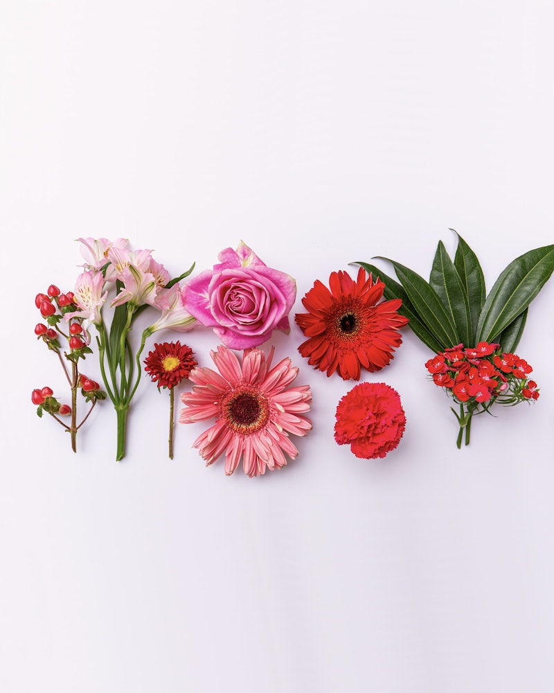 A vibrant assortment of fresh flowers, including pink lilies, a purple rose, red and pink gerberas, carnations, and green foliage, artistically laid out on a white background.