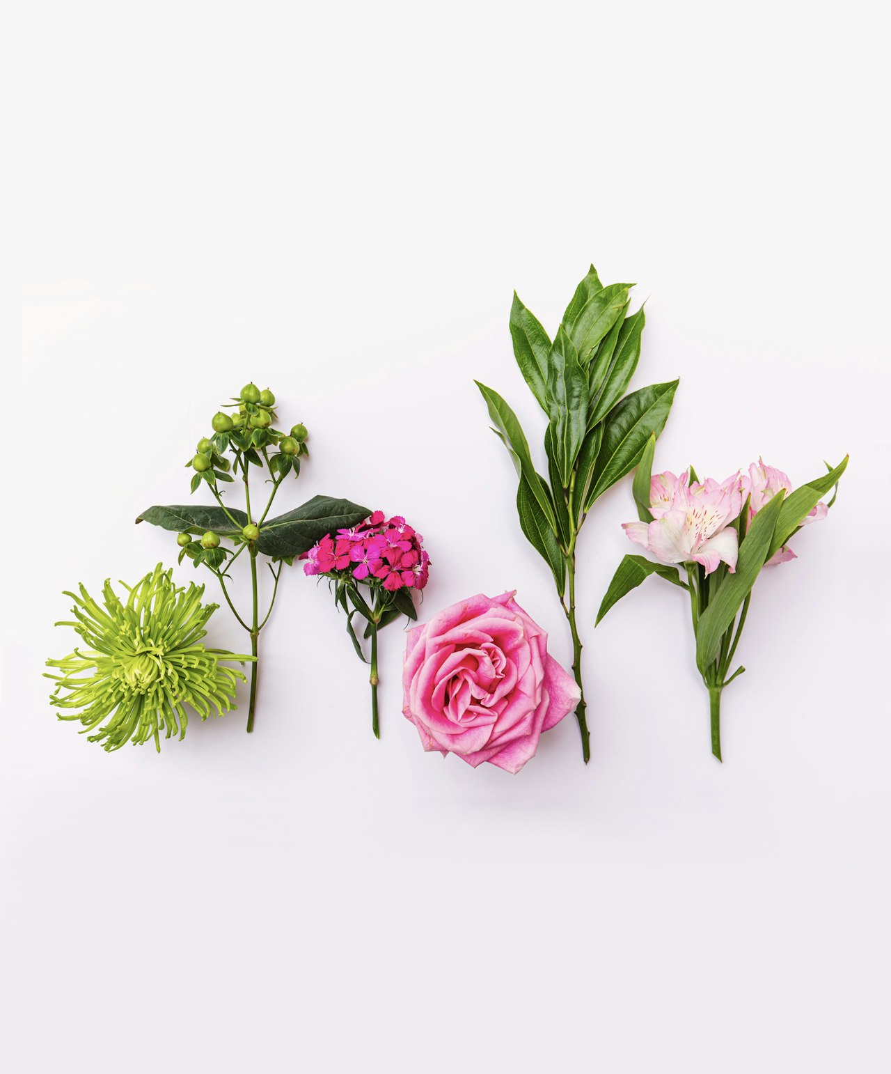 Vibrant floral assortment featuring green, pink, and white blooms arranged artistically.
