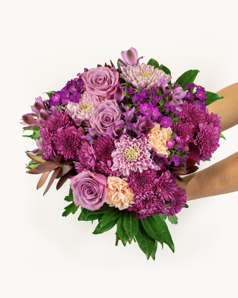 Colorful bouquet of flowers including purple roses, pink chrysanthemums, and other assorted flowers held against a white background by two hands.