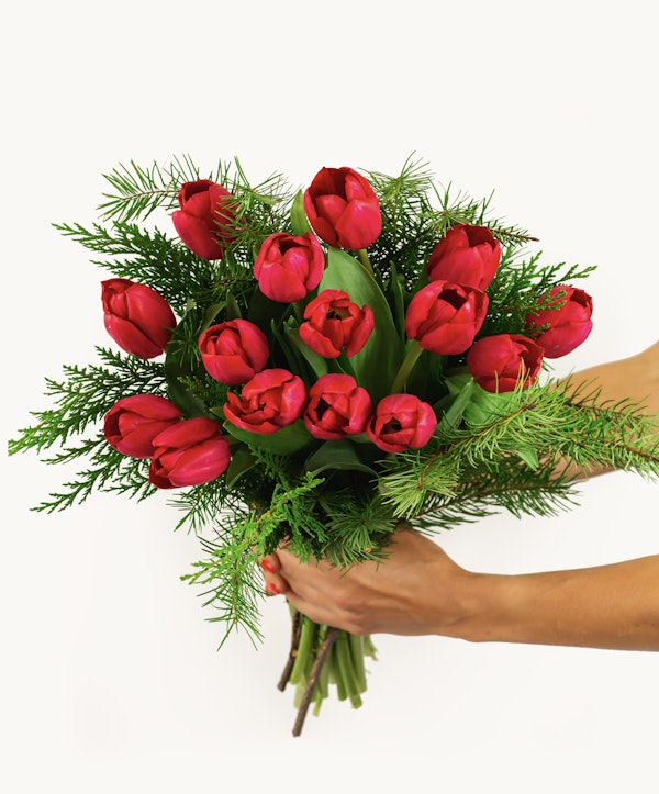 A person holding a vibrant bouquet of red tulips accentuated with lush green fern leaves, presented against a clean white background.
