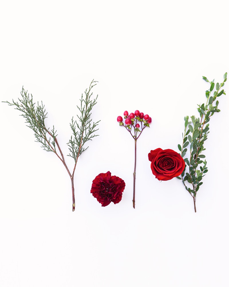Variety of botanical elements arranged on a white background, including green branches, pink berries, a deep red carnation, and a vibrant red rose.