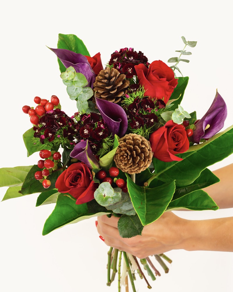 A person holding a vibrant bouquet featuring deep red roses, purple calla lilies, pine cones, and green foliage, against a white background.