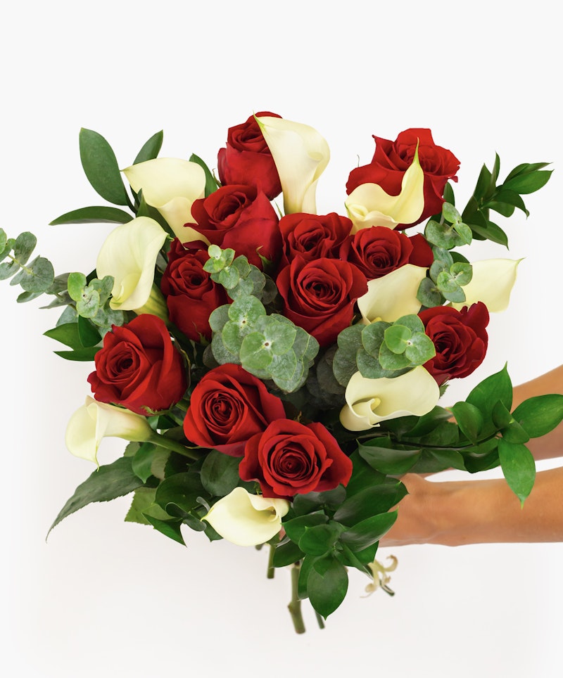 A person holding a luxurious bouquet of red roses and white calla lilies with rich green leaves and eucalyptus accents against a white background.