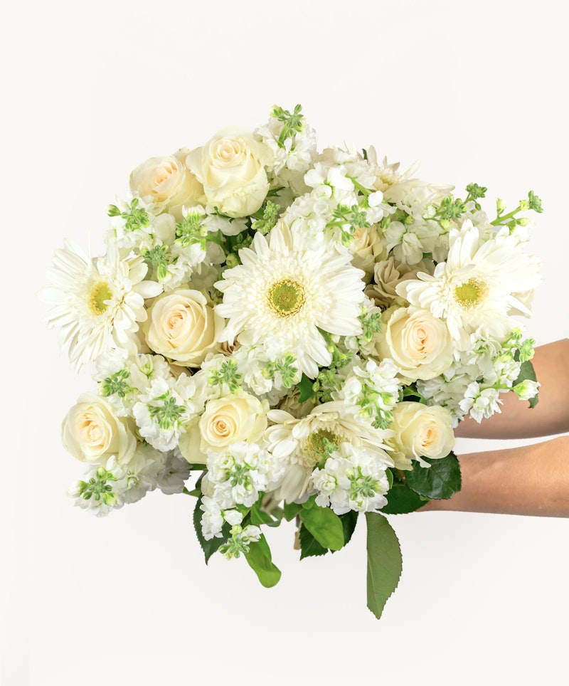 A person holding a lush bouquet of white flowers, featuring roses and gerbera daisies, with seasonal greenery, against a clean, white background.