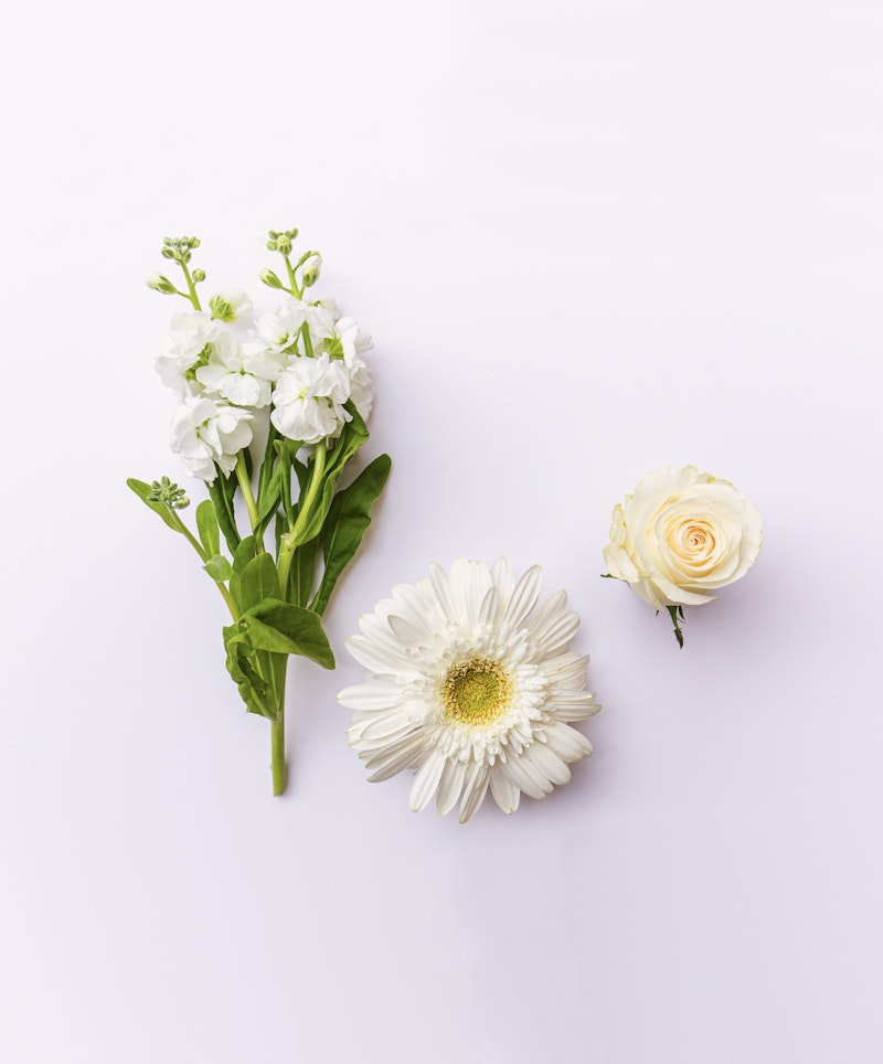 A fresh assortment of flowers featuring white snapdragons, a large daisy, and a delicate rose, arranged on a clean, bright white surface.