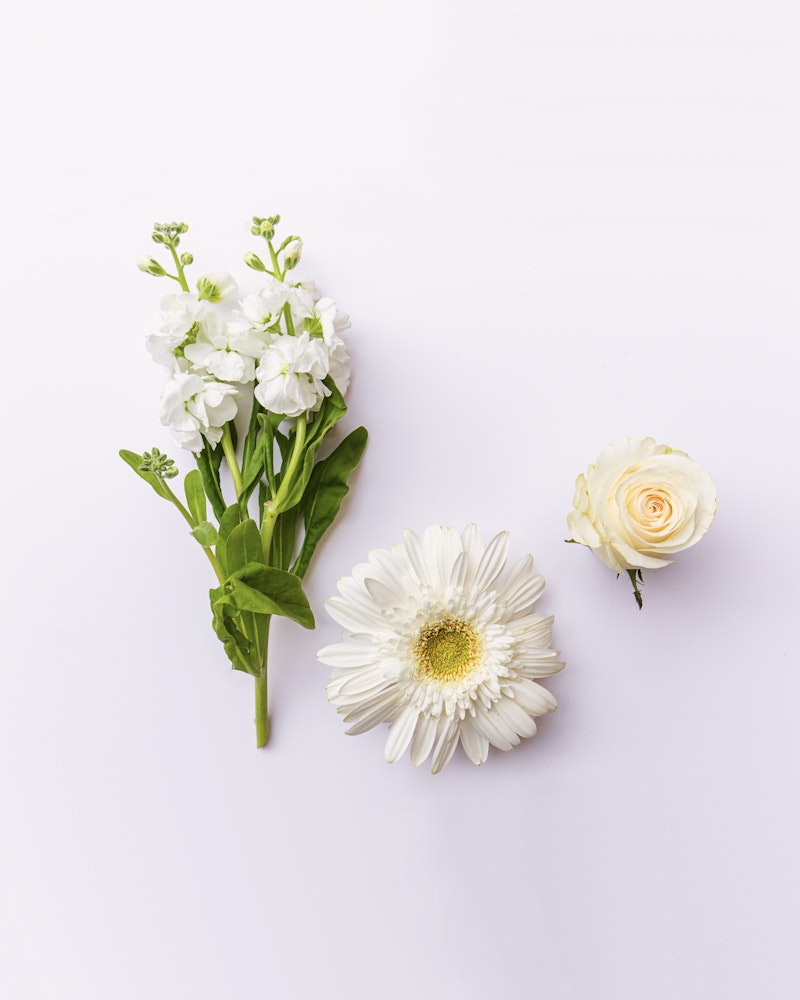 A fresh assortment of flowers featuring white snapdragons, a large daisy, and a delicate rose, arranged on a clean, bright white surface.