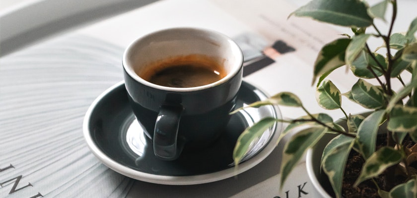 A stylish espresso cup sits on a saucer, complemented by a small green plant.
