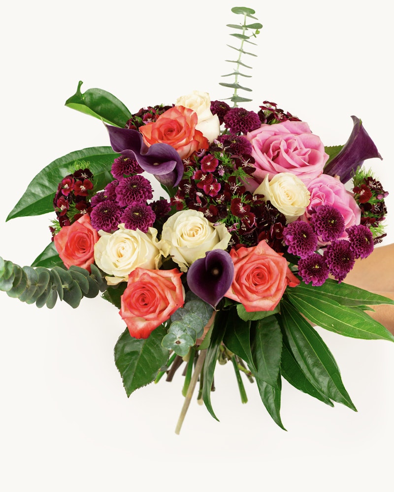 Vivid bouquet of flowers with a mixture of pink, red, and white roses, deep purple calla lilies, and green foliage against a white background.