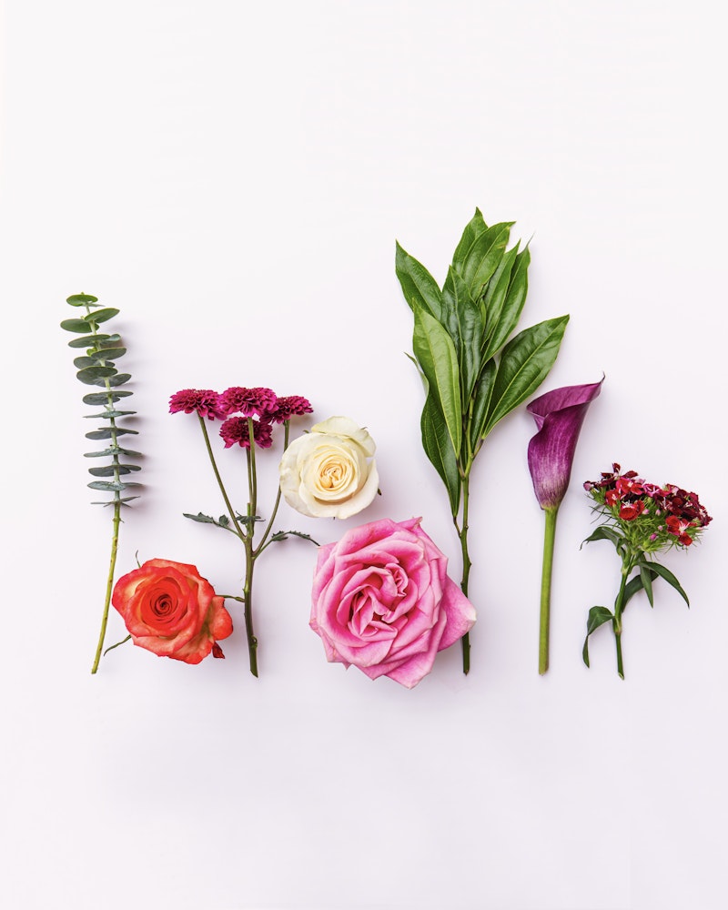 A variety of flowers laid out on a white background, including eucalyptus, carnations, a cream rose, an orange rose, a pink rose, a calla lily, and small red blooms.
