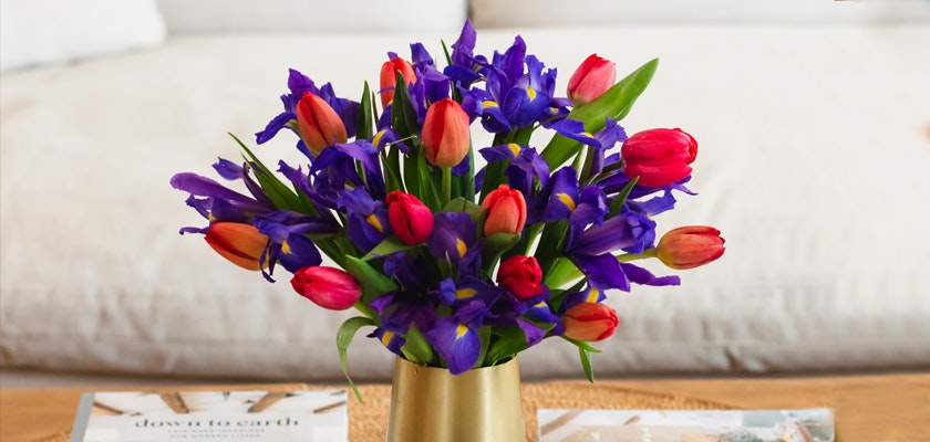 Vibrant tulips and irises arranged in a chic vase, adding color to any setting.