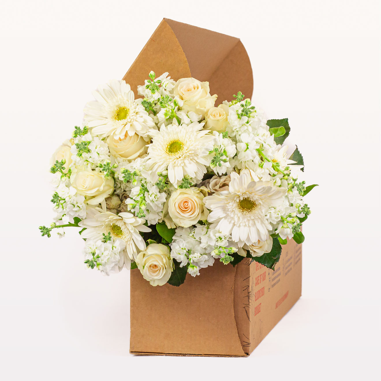 Pet Friendly Flowers Pet Safe Flowers Dog Flowers