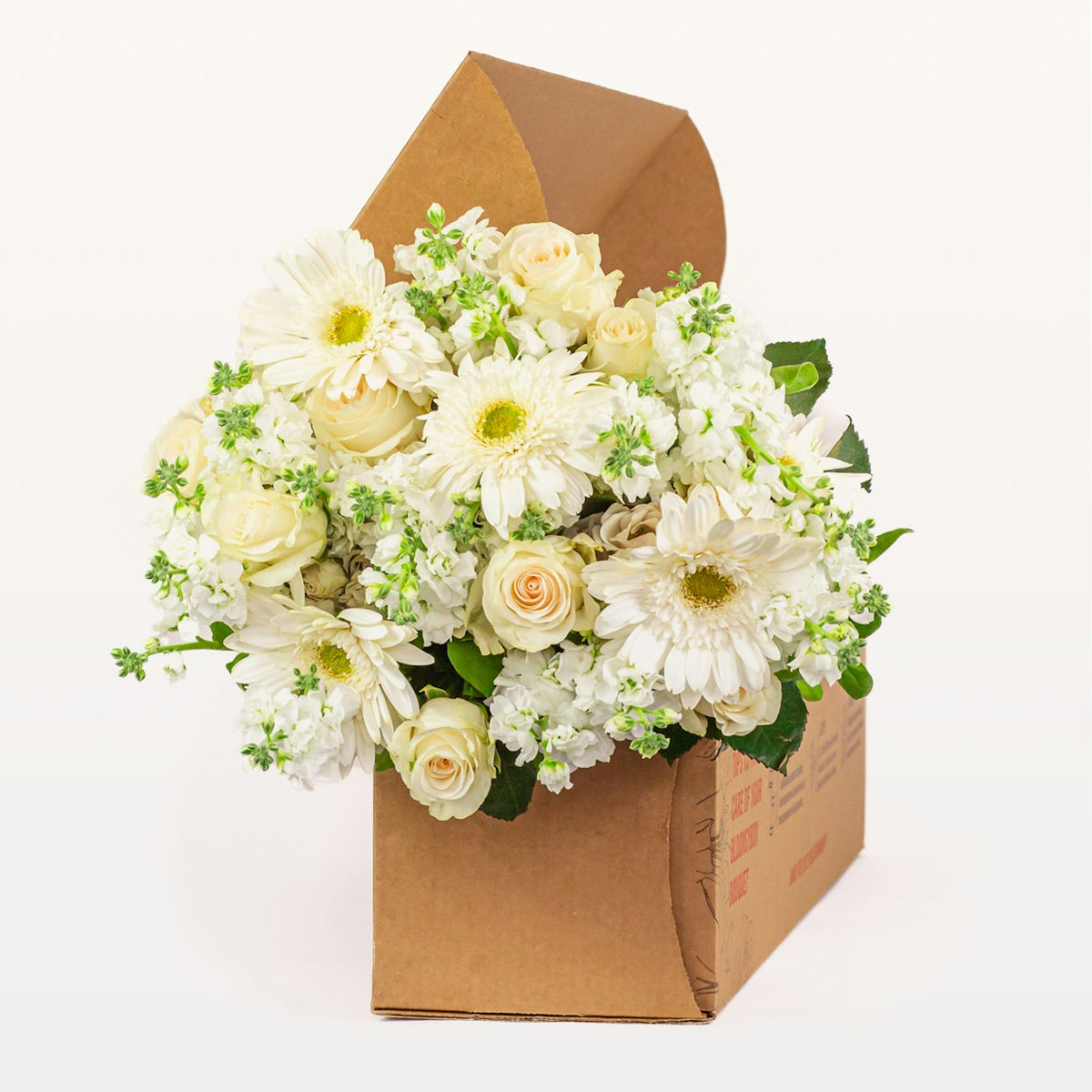 Pet Friendly Flowers Pet Safe Flowers Dog Flowers