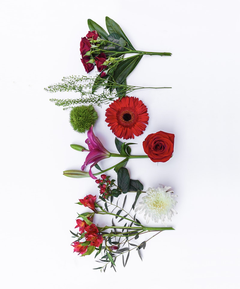 An assortment of vibrant flowers including red roses, a gerbera, lilies, and other blossoms, artistically arranged and displayed on a white background.