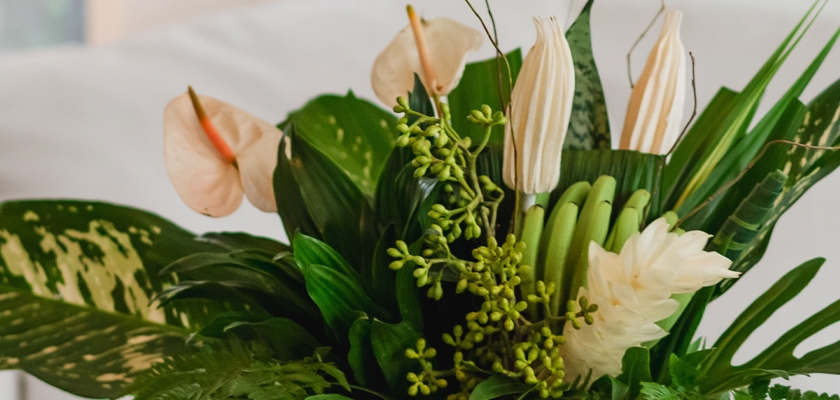 Vibrant floral arrangement featuring white anthurium and lush greenery in an elegant display.