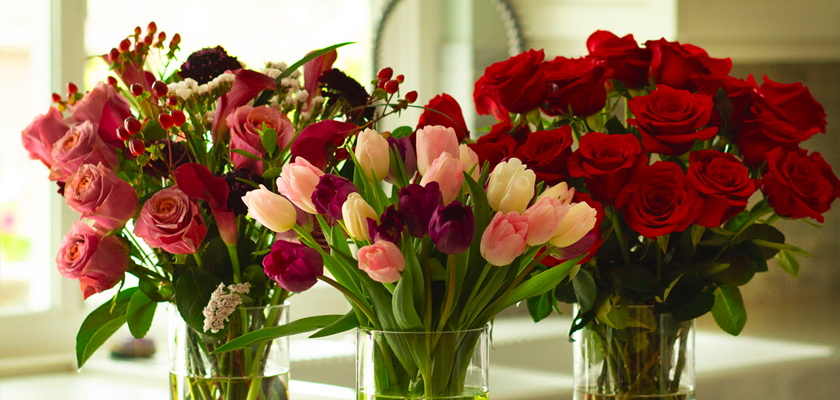 Vibrant bouquet featuring red roses, pink and purple tulips in elegant glass vases.