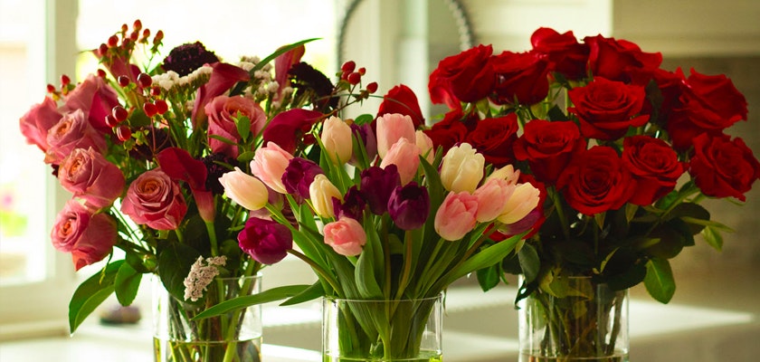 Vibrant bouquet featuring red roses, pink and purple tulips in elegant glass vases.