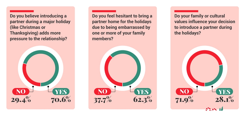 Survey results on family introduction during holidays with clear visual data representation.