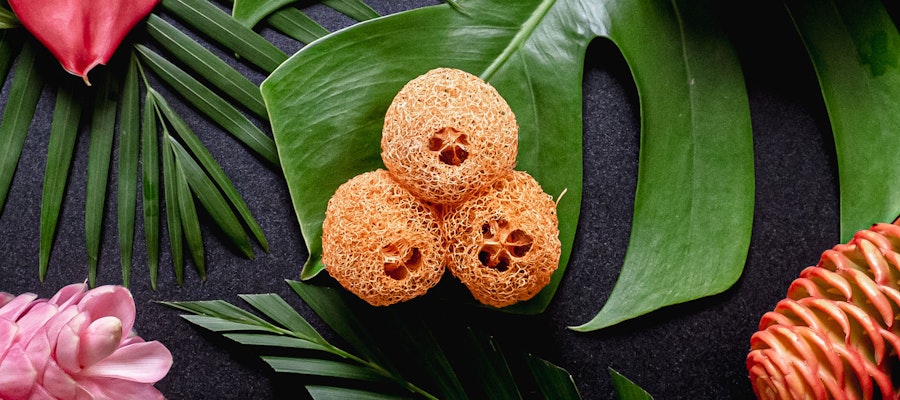 Natural loofah sponges artfully arranged on lush green leaves and tropical blooms.