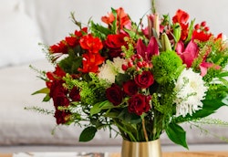 Vibrant bouquet of red roses, pink lilies, and assorted greenery in a golden vase on a table with a soft-focus background of a couch and living room setting.