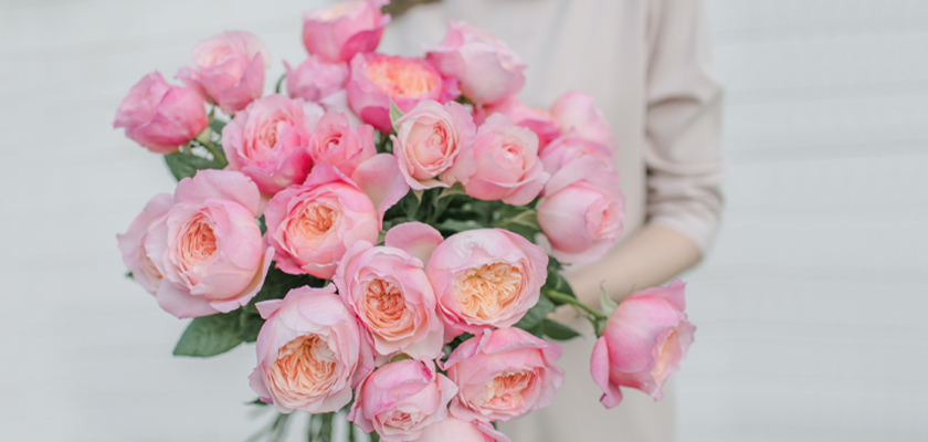 A stunning bouquet of soft pink roses, elegantly held by a woman, perfect for any celebration.
