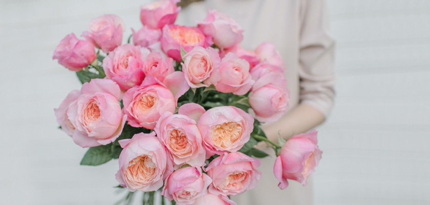 A stunning bouquet of soft pink roses, elegantly held by a woman, perfect for any celebration.