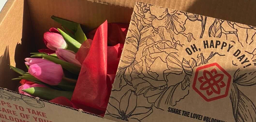 Colorful tulips nestled in a box, ready to bring joy and brighten any occasion.