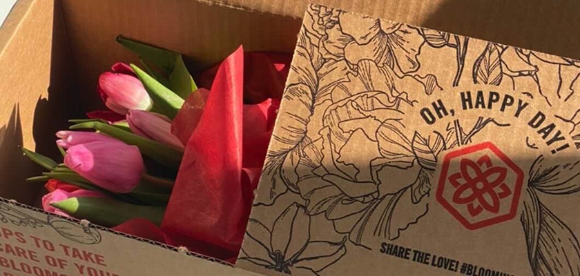 Colorful tulips nestled in a box, ready to bring joy and brighten any occasion.