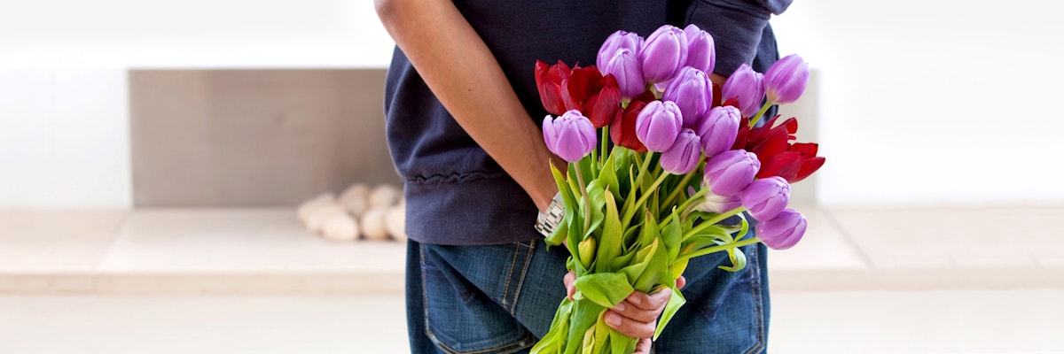 Vibrant bouquet of purple and red tulips held in a person's hands, perfect for any occasion.
