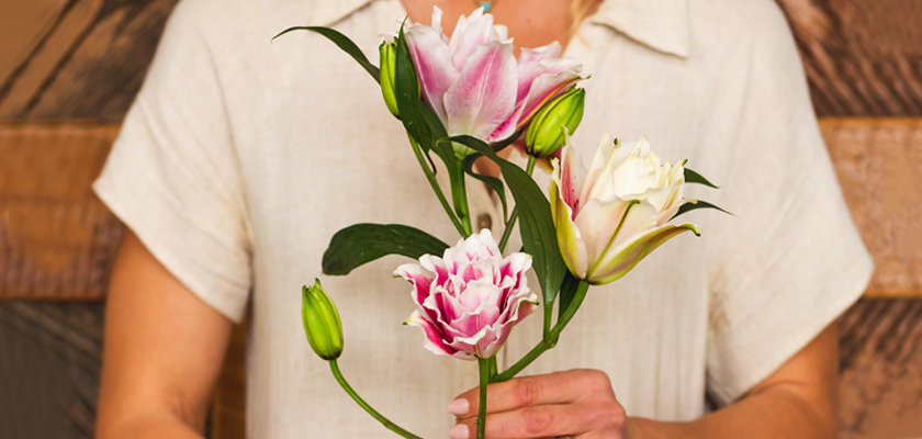 A delicate arrangement of pink and white tulips held by a woman in a light blouse.