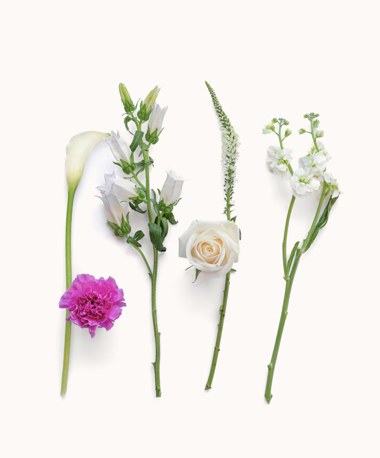 Elegant floral arrangement featuring a variety of fresh blooms, including roses, and wildflowers.