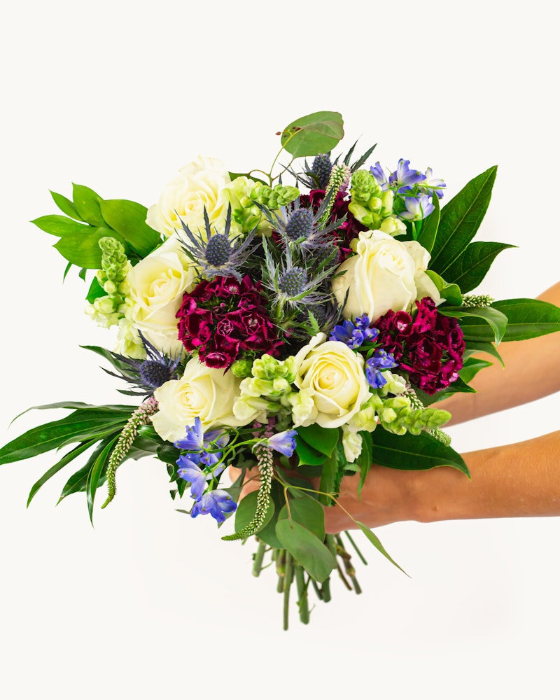 A pair of hands presenting a vibrant bouquet with white roses, deep purple flowers, and green foliage against a clean white background, perfect for celebrations or decor.