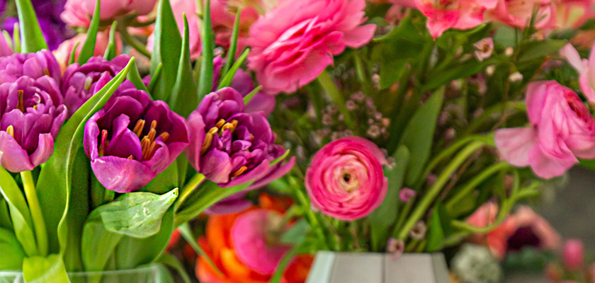 Vibrant floral arrangement featuring purple tulips and pink ranunculus in elegant vases.