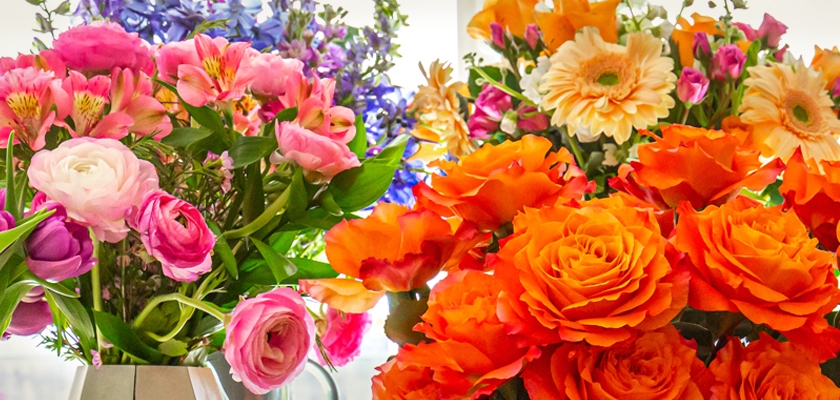 Vibrant floral arrangement featuring pink, orange, and purple blooms in a stunning display.