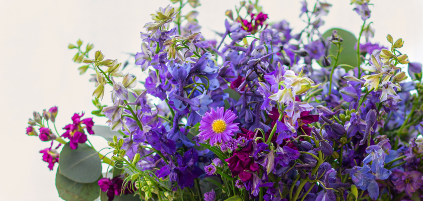 Vibrant floral arrangement featuring striking purple and violet blooms with greenery accents.