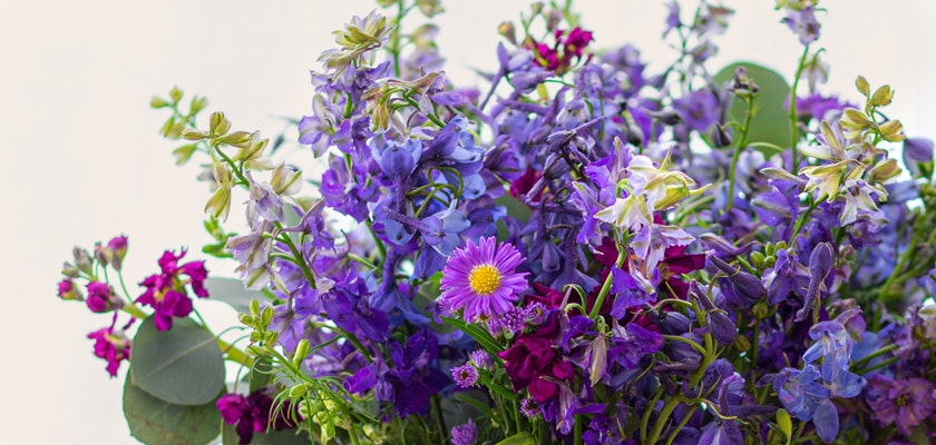 Vibrant floral arrangement featuring striking purple and violet blooms with greenery accents.