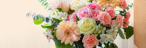 A vibrant bouquet featuring a mix of pink roses, white daisies, and peach gerberas with green foliage against a soft beige background.