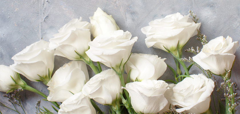 Elegant white roses framed by greenery, creating a serene floral arrangement.