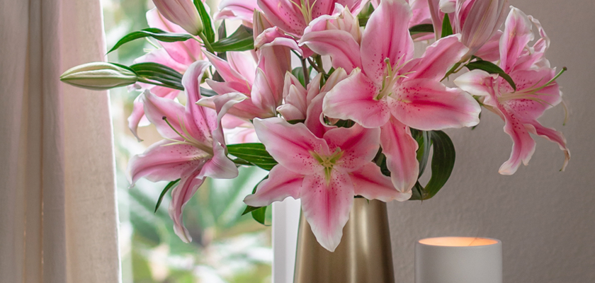 Elegant pink lilies in a modern vase, beautifully arranged by a candle, ideal for home décor.