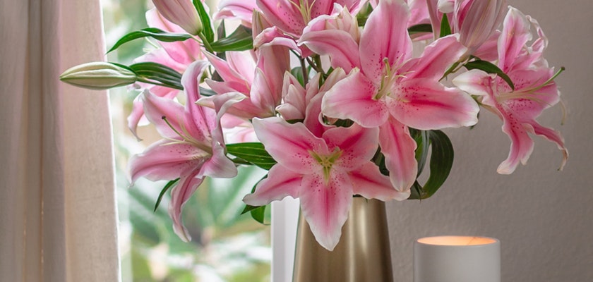 Elegant pink lilies in a modern vase, beautifully arranged by a candle, ideal for home décor.