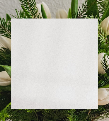 Elegant white tulips surrounded by lush greenery, perfect for any occasion.