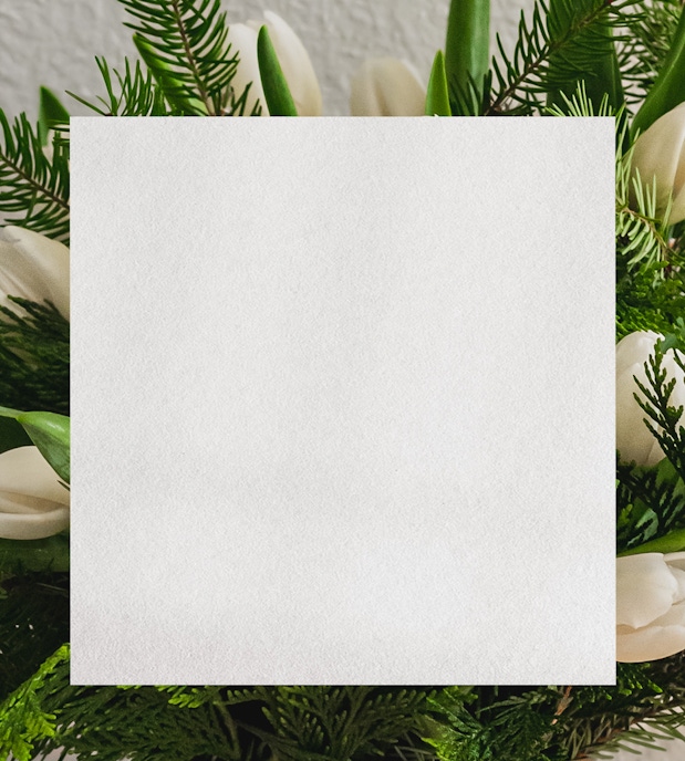 Elegant white tulips surrounded by lush greenery, perfect for any occasion.