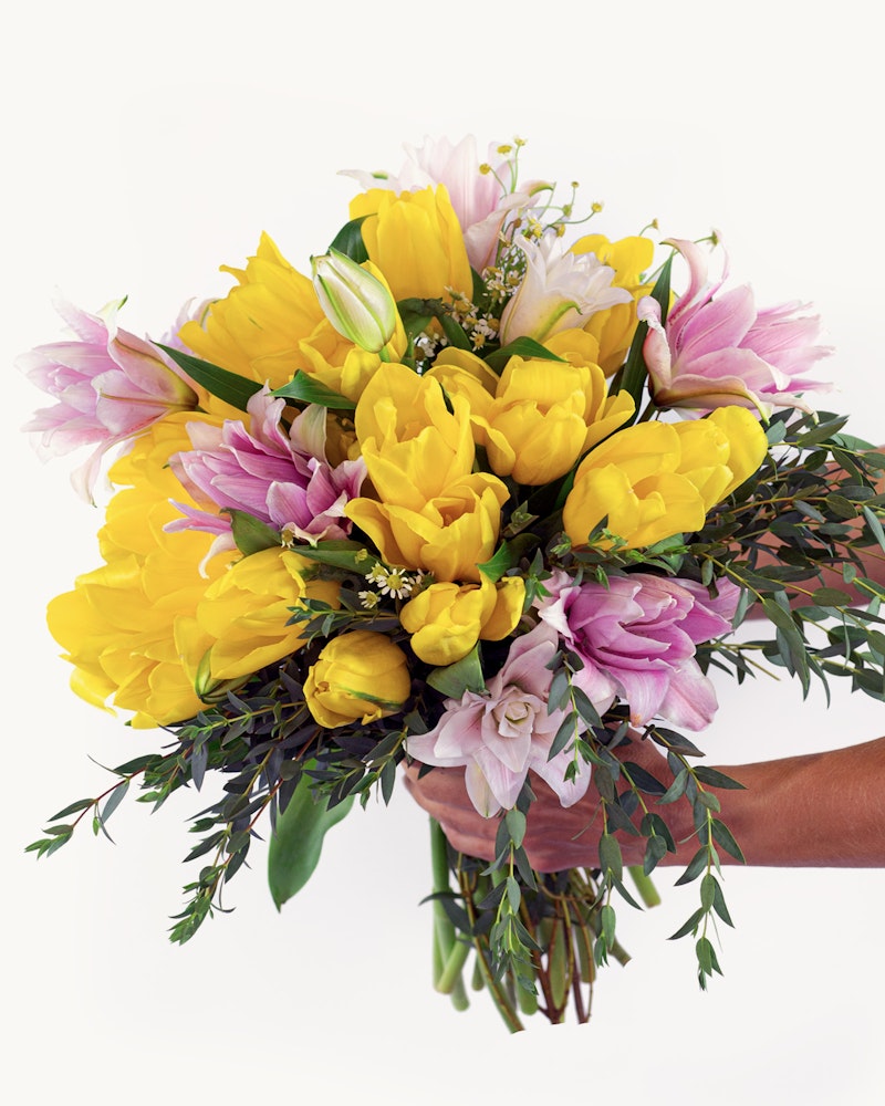 Bright yellow tulips and pink lilies bouquet with green foliage held in hand against a white background, symbolizing spring or a festive occasion.