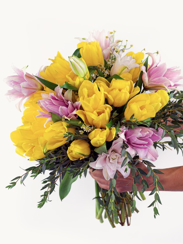 Bright yellow tulips and pink lilies bouquet with green foliage held in hand against a white background, symbolizing spring or a festive occasion.